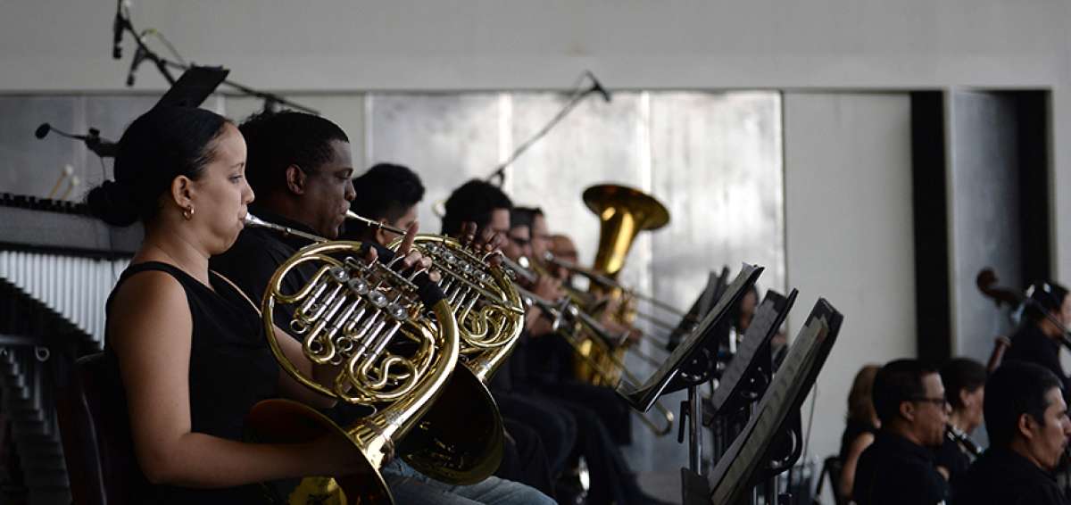 Actualmente, la Orquesta Sinf&oacute;nica de Guayaquil tiene 84 m&uacute;sicos. 40 de ellos tienen contratos ocasionales, mientras que 44 poseen nombramiento regular. 