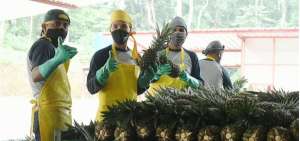 Santo Domingo de los Ts&aacute;chilas es referente en buenas pr&aacute;cticas agropecuarias
