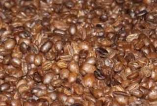 Galápagos: se restringe el ingreso de café tostado y molido