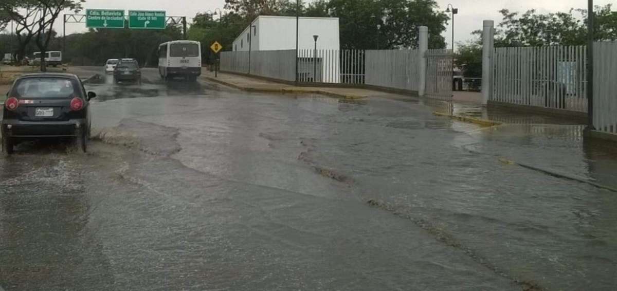 El fen&oacute;meno ser&aacute; fuerte con tendencia a moderado hasta mediados de febrero, seg&uacute;n el Erfen.