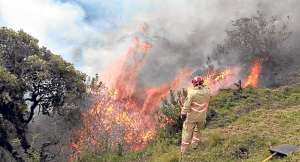 Pichincha y Azuay suman 15 detenidos por incendios forestales  