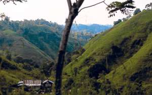 Lo verde de la naturaleza que envuelve a Flavio Alfaro atrapa a sus visitantes. Estas tierras son aprovechadas para realizar diversos cultivos, entre ellos de c&iacute;tricos y cacao. Foto: Rodolfo P&aacute;rraga / El Tel&eacute;grafo