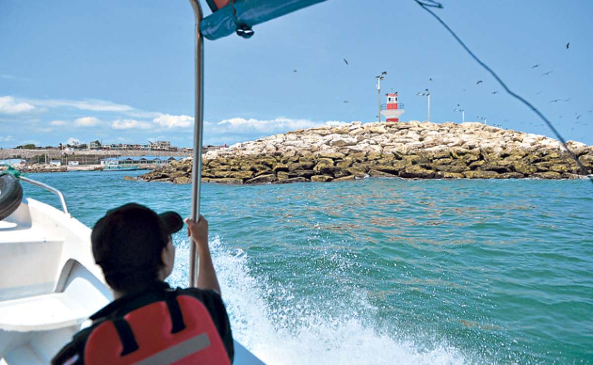 En las instalaciones del Ipeep se llevar&aacute; a cabo el concurso de pintura, con el que se busca que los menores entiendan sobre la importancia de los oc&eacute;anos. Foto: Rodolfo P&aacute;rrafa / El Tel&eacute;grafo