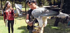 La recuperaci&oacute;n de cada ave conlleva meses o a&ntilde;os, dependiendo de la especie y los problemas que tengan para poder insertarse a su medio natural. Foto: Fernando Machado /El Telegrafo