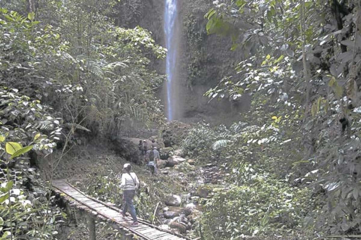 Los turistas buscan zonas naturales