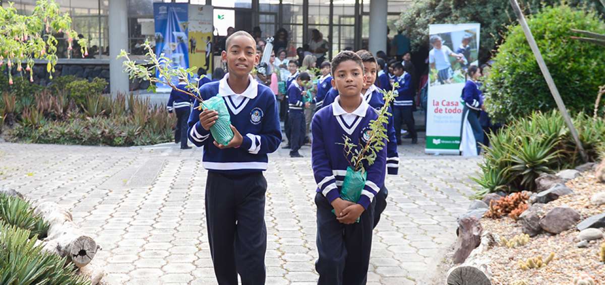 Estudiantes de la unidad educativa Rep&uacute;blica de Bolivia recibieron plantas para iniciar el programa ambiental. 