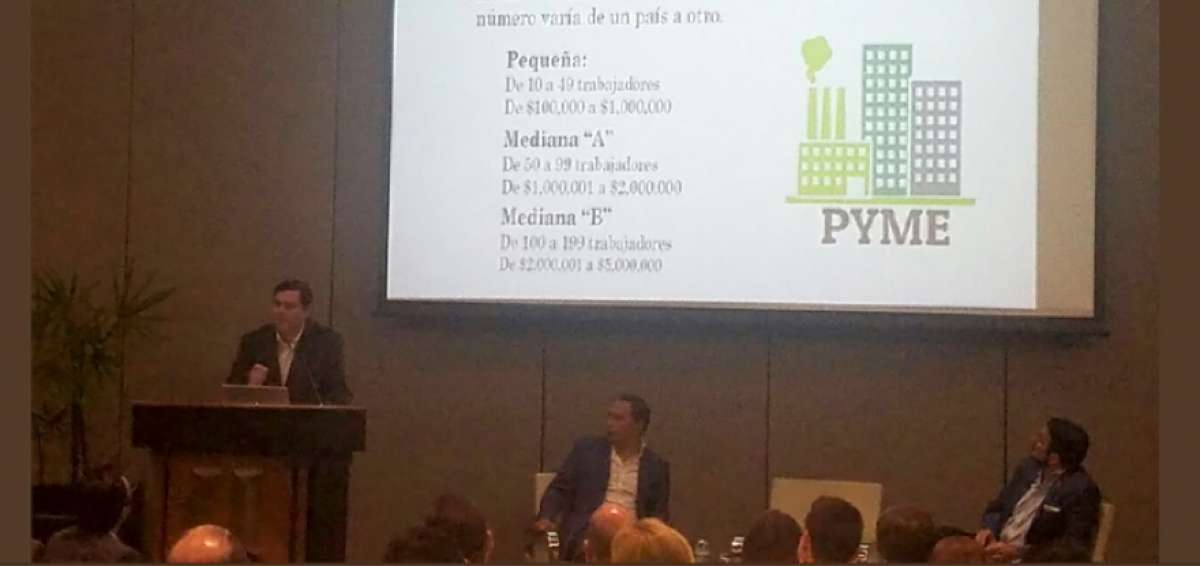El 42% de las compa&ntilde;&iacute;as registradas en el pa&iacute;s son Pymes