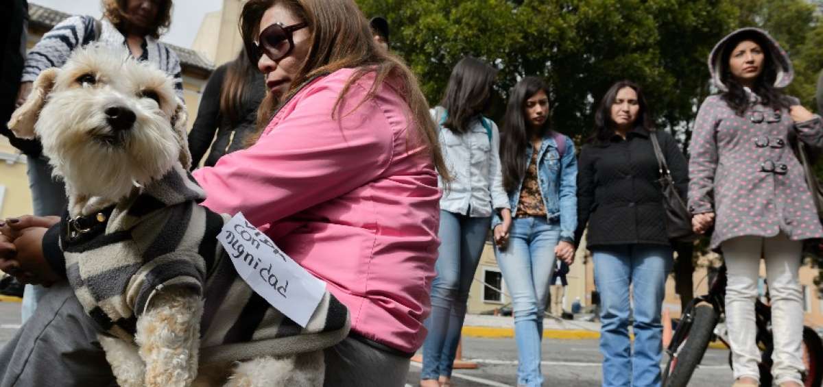 Los grupos animalistas desarrollaron plantones en los exteriores de la Asamblea Nacional.