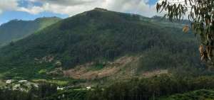 Ministerio de Agricultura y Ganader&iacute;a aclara corte de &aacute;rboles en Ilal&oacute;