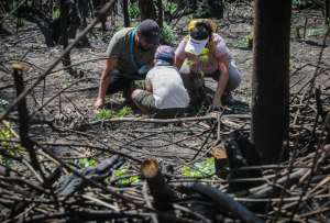Las familias se juntaron en el parque Metropolitano de Quito para plantar árboles en zonas destruidas por un incendio forestal.