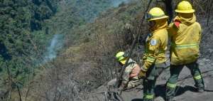 Hasta las 14:00 se estima que se ha sofocado el 70% del fuego.