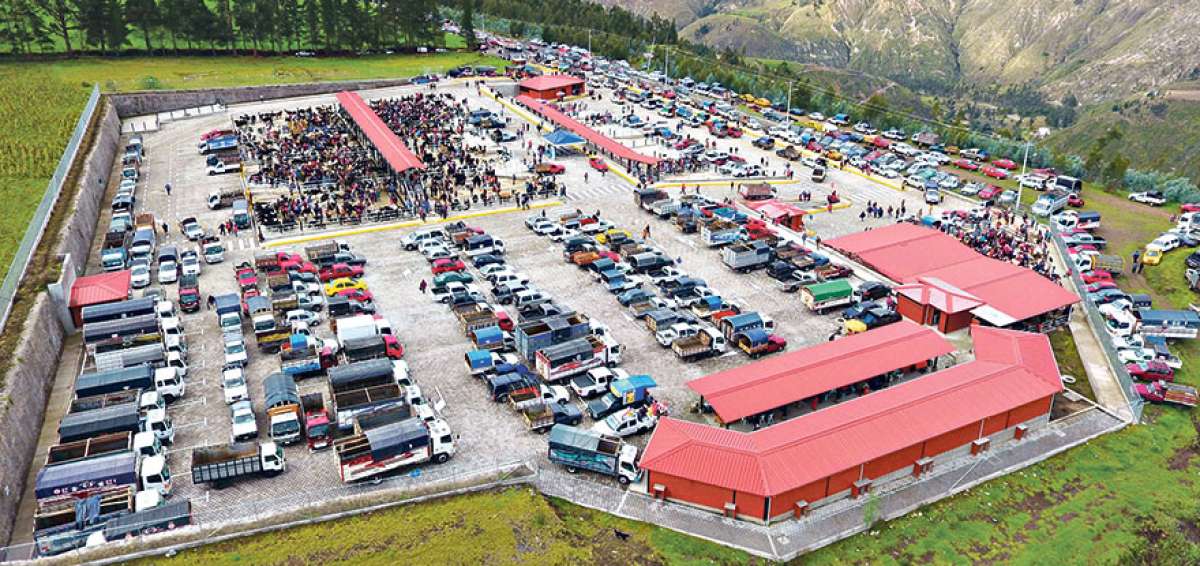 Los amplios parqueaderos facilitan el ingreso de camiones y descarga de especies en &oacute;ptimas condiciones.