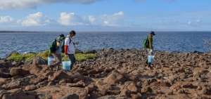 Unos treinta guardaparques han participado en esta operaci&oacute;n, equipados y con vestimenta de protecci&oacute;n para dispersar los cebos.