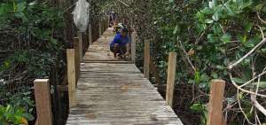 Artesanos de la zona trabajan en la reconstrucci&oacute;n de un tramo del sendero en el interior de la isla. A fines de abril culminan los trabajos.    