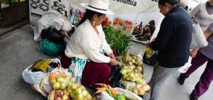Las frutas se han convertido en productos esenciales en varios de los hogares azuayos y se producen en buena cantidad en los cantones orientales.