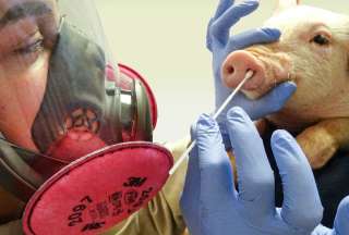 El infectado con gripe porcina presentó síntomas respiratorios, como congestión nasal. 