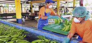 Crecen las exportaciones no petroleras de Ecuador