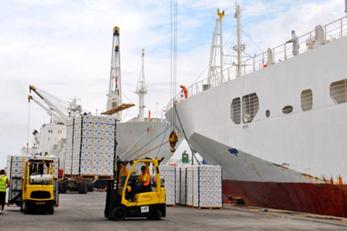 El grupo de origen turco tiene como objetivo incrementar el ingreso y salida de carga desde el puerto orense. Foto: Fabricio Cruz/El Tel&eacute;grafo