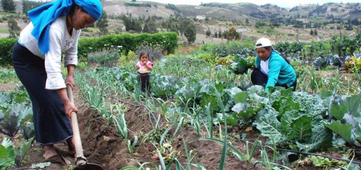 El nuevo C&oacute;digo de Ambiente propone temas como la posesi&oacute;n de tierras comunitarias dentro del sistema nacional de &aacute;reas protegidas, entre otros. 