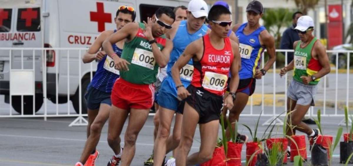 Andr&eacute;s Chocho gan&oacute; en marzo de 2016 la prueba de 50 km IAAF Challenge que se desarroll&oacute; en Ciudad Ju&aacute;rez (M&eacute;xico). Impuso una marca de 3h42m57s. 
