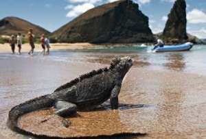 Las islas Galápagos presentan números positivos en el turismo.
