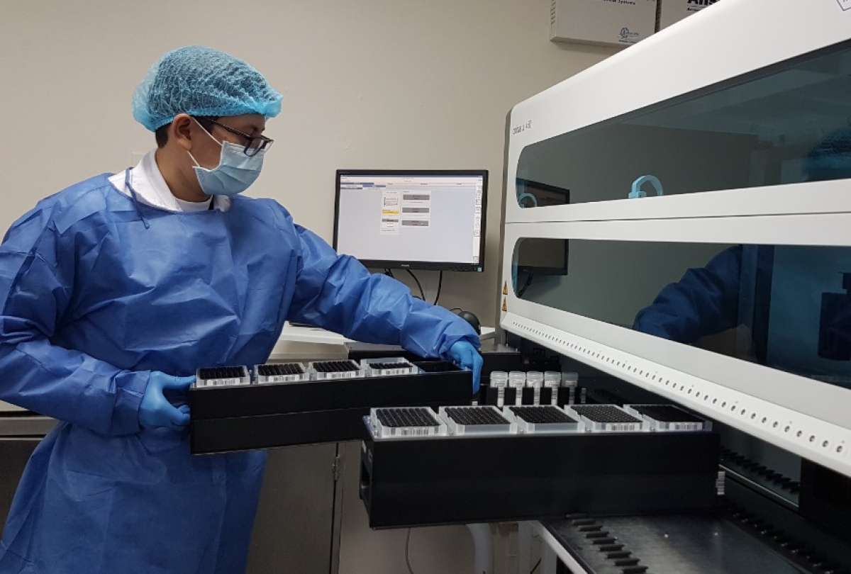 Las muestras que se procesarán para la detección del cáncer de cuello uterino en el hospital de Cuenca provienen de nueve casas de salud de Ecuador. 