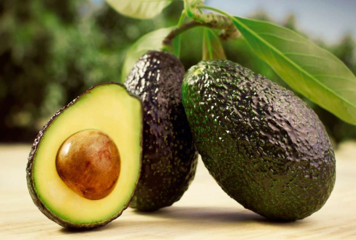 En Ecuador hay cerca de 160 productores de aguacate