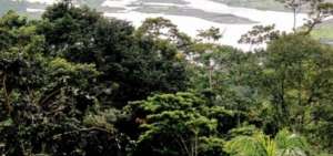 Ecuador suma esfuerzos para la conservaci&oacute;n de bosques y reducci&oacute;n de la deforestaci&oacute;n