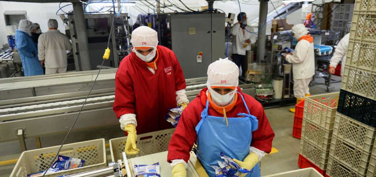 En el &uacute;ltimo a&ntilde;o, la producci&oacute;n de bienes primarios no petroleros  le permiti&oacute; al Ecuador ampliar sus exportaciones y mejorar el saldo de su balanza comercial.