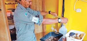 En el Centro de Crianza Fausto Llerena se lleva a cabo el mayor programa de reproducci&oacute;n y crianza en cautiverio de cuatro especies de tortugas de las Gal&aacute;pagos.   