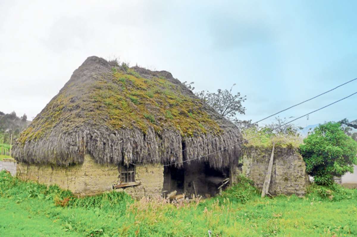 Foto cortes&iacute;a de Perdo Reino / El Tel&eacute;grafo.