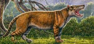 La nueva especie era carn&iacute;vora y ten&iacute;a un tama&ntilde;o superior al de un oso polar.