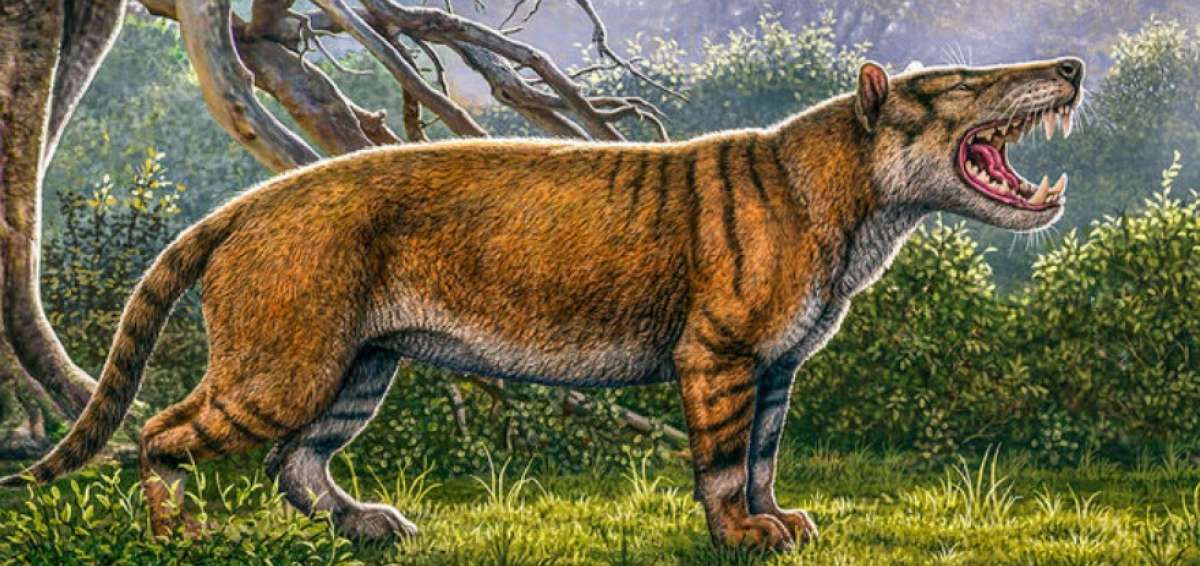 La nueva especie era carn&iacute;vora y ten&iacute;a un tama&ntilde;o superior al de un oso polar.