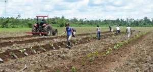 150 hect&aacute;reas adjudicar&aacute; el Magap a campesinos de Quito