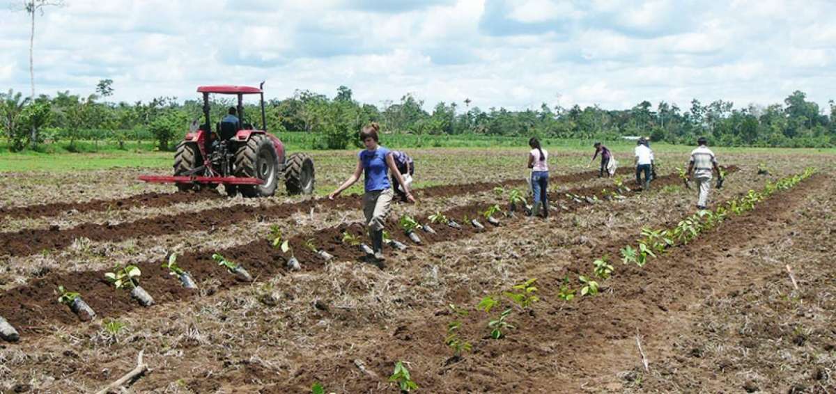 150 hect&aacute;reas adjudicar&aacute; el Magap a campesinos de Quito