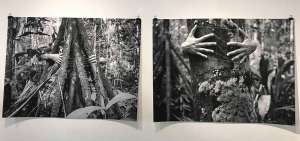 La muestra se exhibe en la galer&iacute;a Kh&ocirc;ra y presenta el trabajo de Karen Miranda-Rivadeneira, Bia Monteiro, y Sof&iacute;a Acosta junto con Martina Avil&eacute;s.  