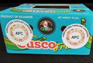 Los productores recibieron capacitaci&oacute;n t&eacute;cnica, certificaciones y apoyo del MAGP.