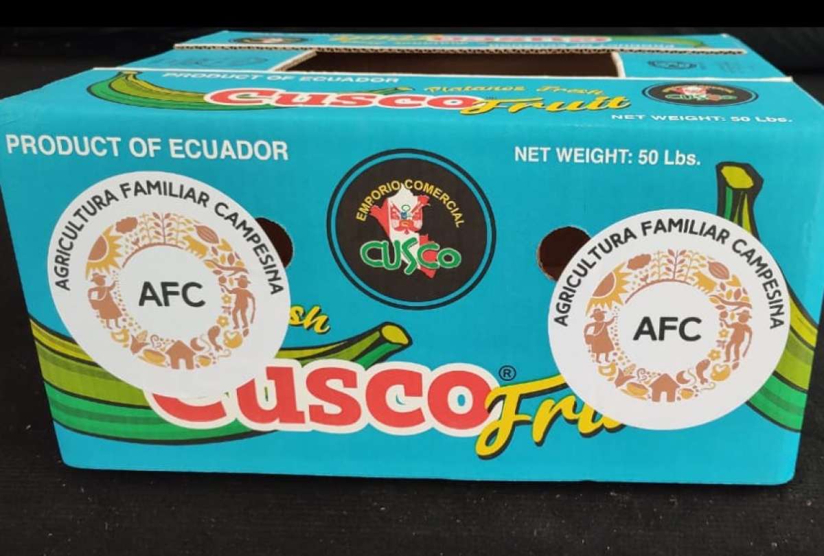 Los productores recibieron capacitación técnica, certificaciones y apoyo del MAGP.