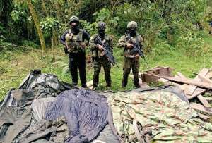 Operativo militar en Carchi causa perjuicio de USD 120.000 a grupos irregulares colombianos