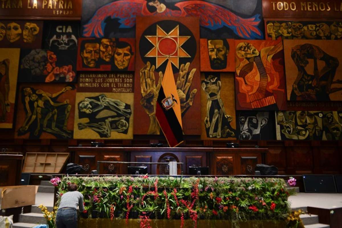 M&aacute;s de 200 especies de orqu&iacute;deas adornar&aacute;n la Asamblea Nacional. Foto: Carina Acosta/ EL TEL&Eacute;GRAFO