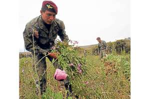 Operativos ejecutados en a&ntilde;os anteriores por personal de las Fuerzas Armadas en Carchi. Foto: Cortes&iacute;a