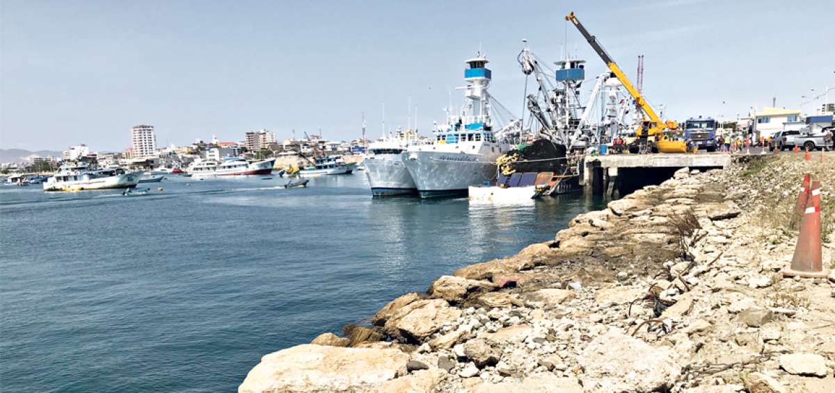Posteriormente al dragado se construir&aacute;n tres muelles pesqueros tipo espig&oacute;n, atracaderos que estar&aacute;n listos en el a&ntilde;o 2020.