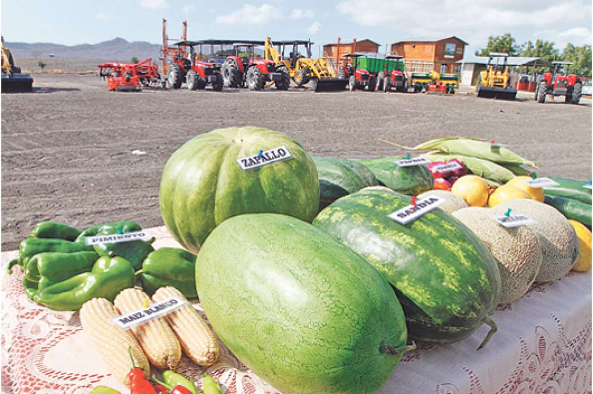 En m&aacute;s de 6 mil hect&aacute;reas, que pertenecen a 31 comunas de la provincia, se invirtieron $ 25 millones. Foto: Cortes&iacute;a