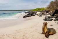 Gobierno apunta a la prohibición total de la pirotecnia en Galápagos. 