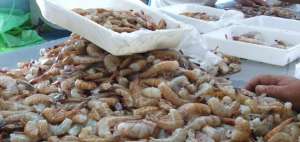 Gobierno entreg&oacute; combustible para beneficiar a pescadores artesanales de Canoa