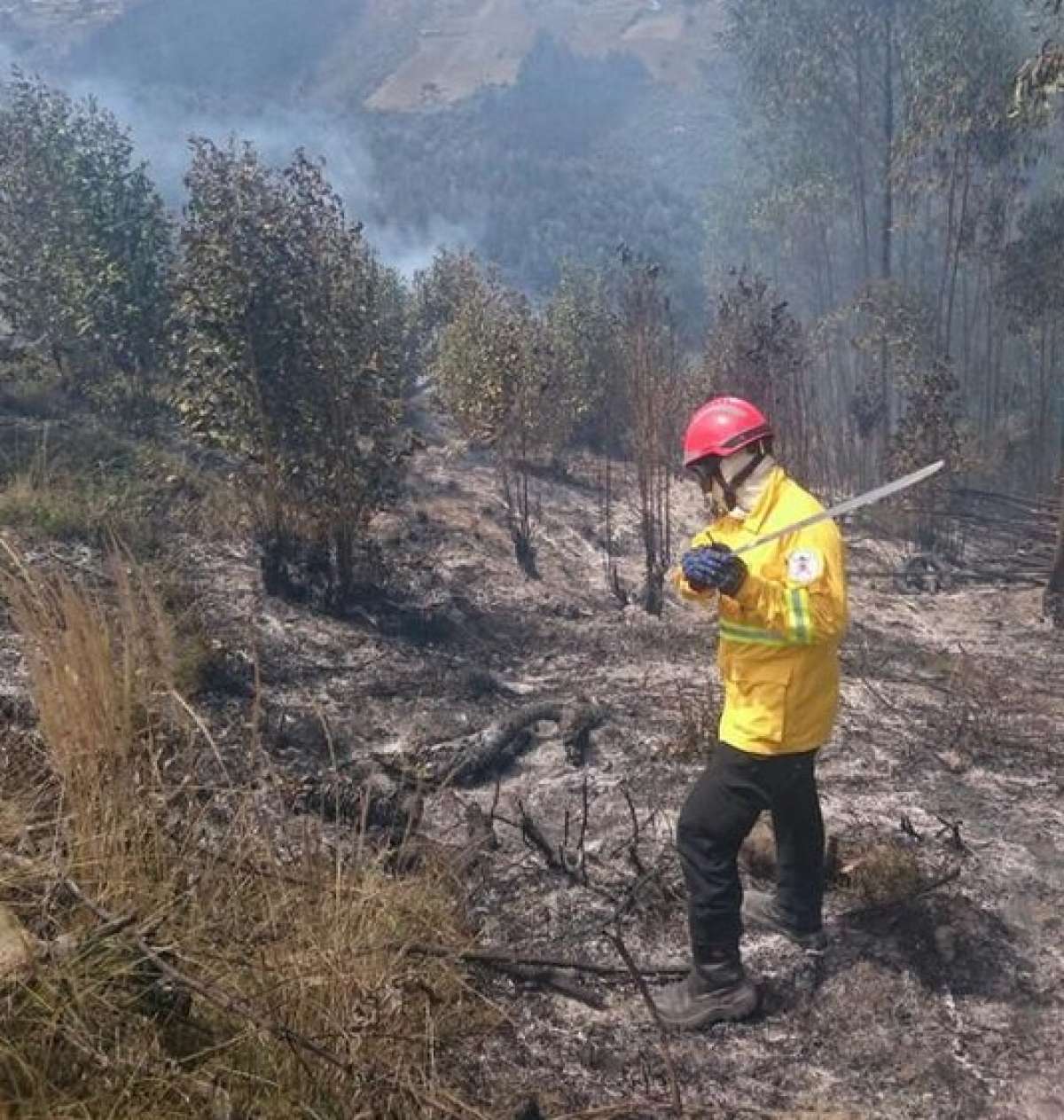  25 efectivos con el apoyo log&iacute;stico de motos y autobombas lograron sofocar el fuego en el sector de La Rold&oacute;s. Foto: Cortes&iacute;a