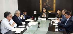 En la reuni&oacute;n de ayer, con la presidenta del CNE, los integrantes de la comisi&oacute;n dijeron que presentar&aacute;n un plan de trabajo el pr&oacute;ximo lunes.