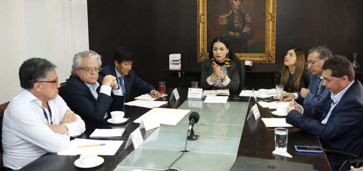 En la reuni&oacute;n de ayer, con la presidenta del CNE, los integrantes de la comisi&oacute;n dijeron que presentar&aacute;n un plan de trabajo el pr&oacute;ximo lunes.