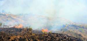Incendio en Quilanga ha consumido m&aacute;s de mil hect&aacute;reas de bosque