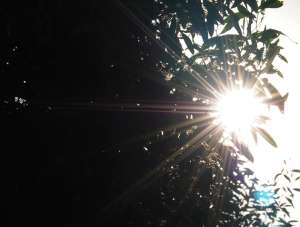 Los altos niveles de radiaci&oacute;n se registraron en esta semana. Foto: EL TEL&Eacute;GRAFO